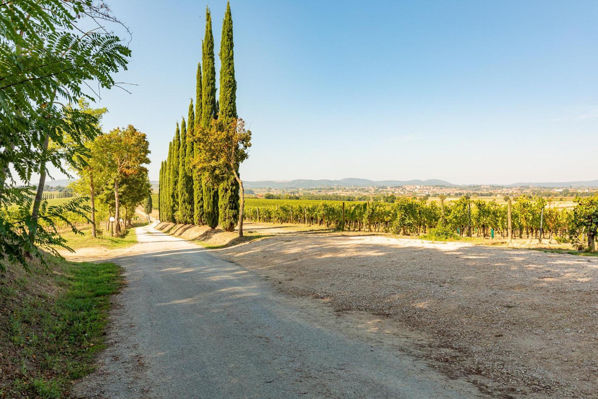 Appartamento Greppino Montepulciano Zewnętrze zdjęcie