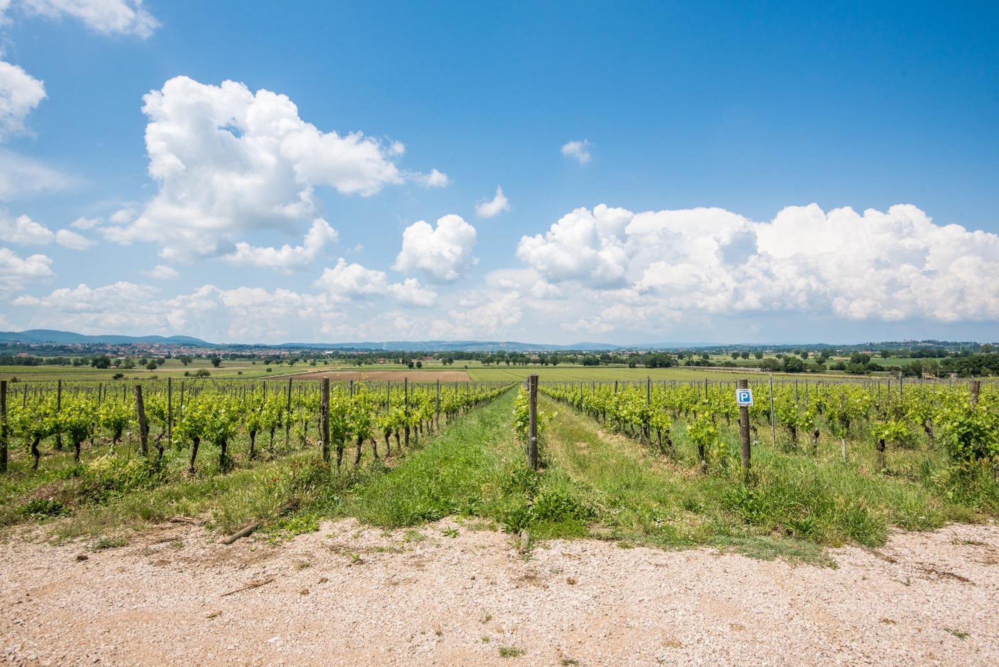 Appartamento Greppino Montepulciano Zewnętrze zdjęcie